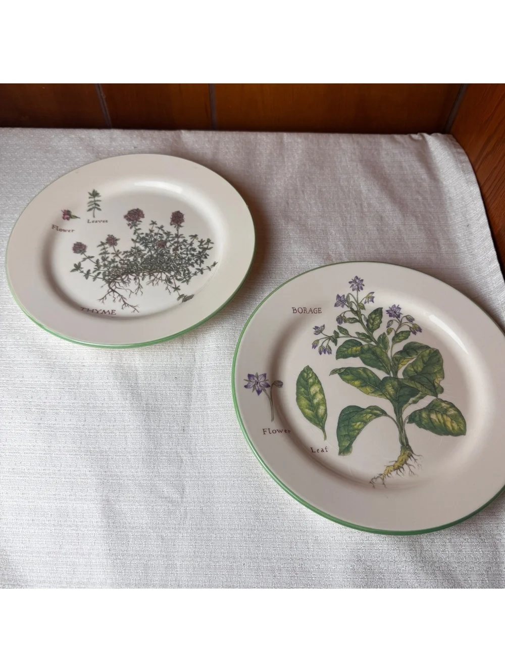 Vintage Williams Sonoma Culinary Herbs Plates Set Of 2 Thyme Borage 9 Inch